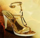 Brown Shoe / Carlos by Carlos Santana Shoes