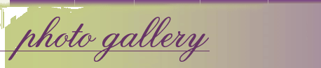 Photo Gallery