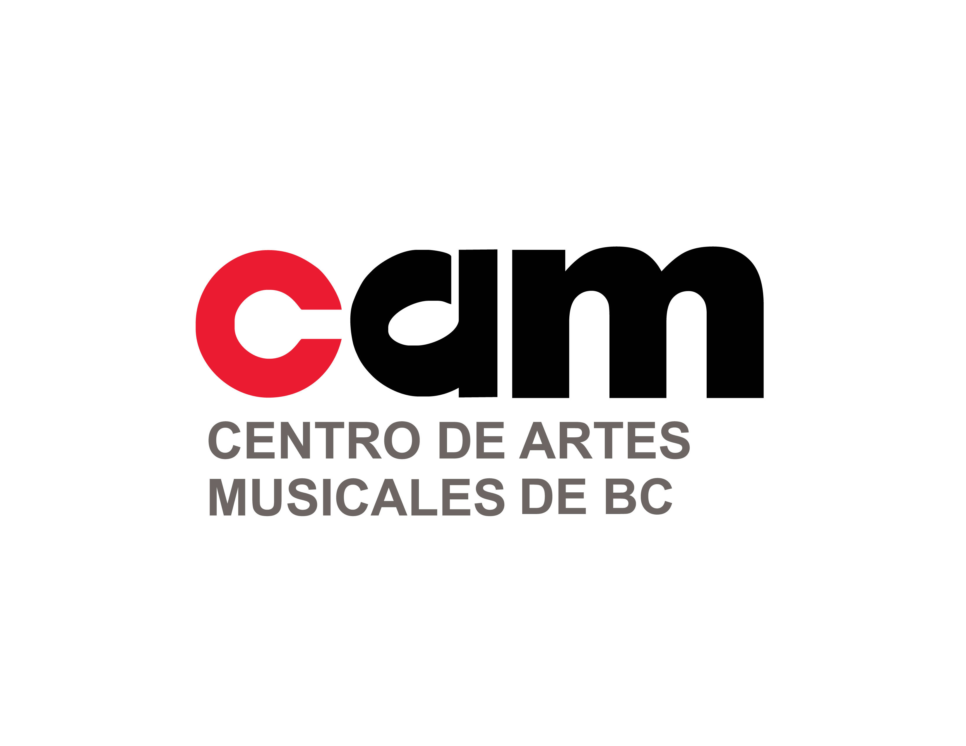 The Baja Musical Arts Initiative, Inc. logo