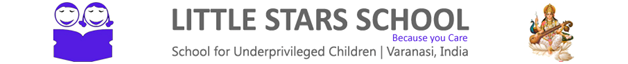 Little Stars School logo