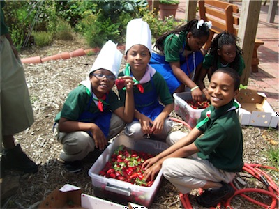 The Edible Schoolyard NOLA logo