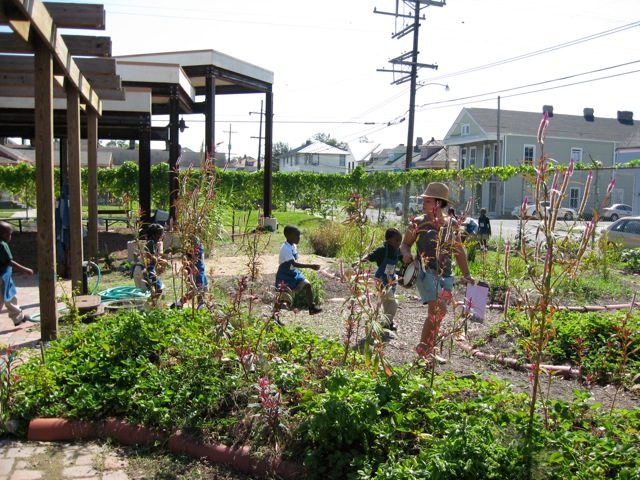 Walking through the garden to outdoor classroom